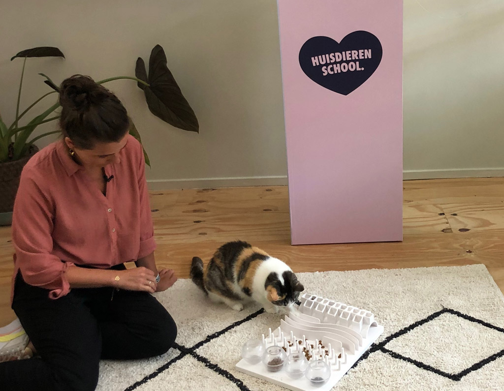 Eline Greiner met kat en voerpuzzel in de studio van De Huisdierenschool